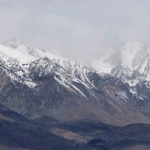 Meet your Posher, Young